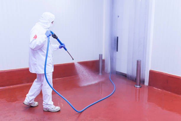Reliable Lazy Mountain, AK Pressure Washing Services Solutions